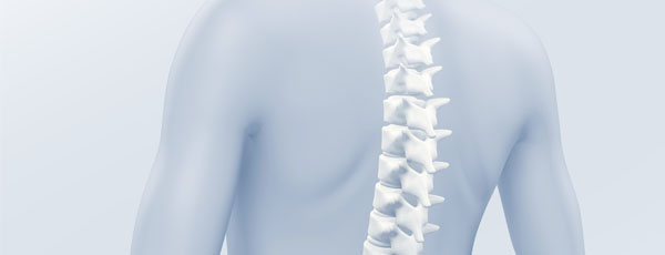 Lifetime Spinal Health